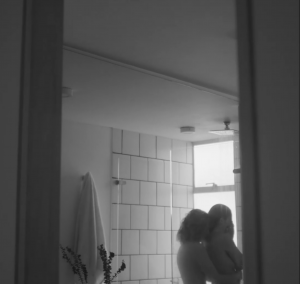 Adeu