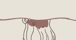 Carne